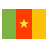 bandera de Camerún